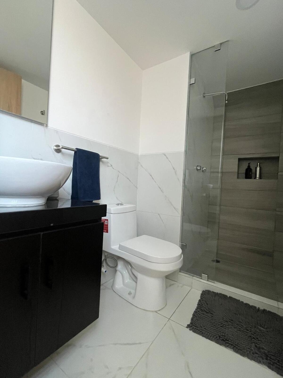 Apartment Departamento En Roma Sur *